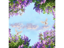 3D потолок 56