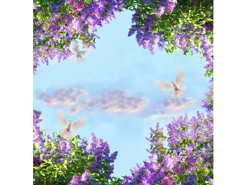 3D потолок 56