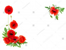 Цветы 54