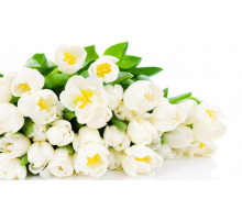 Цветы 95