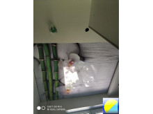 C фотопечатью 103