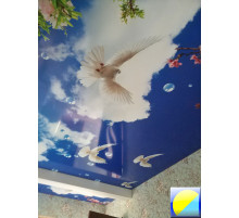 C фотопечатью 104 C фотопечатью 104