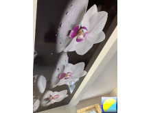 C фотопечатью 93
