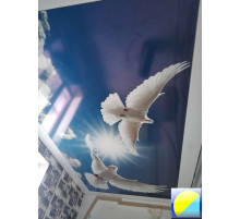 C фотопечатью 96
