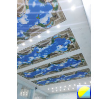 C фотопечатью 98